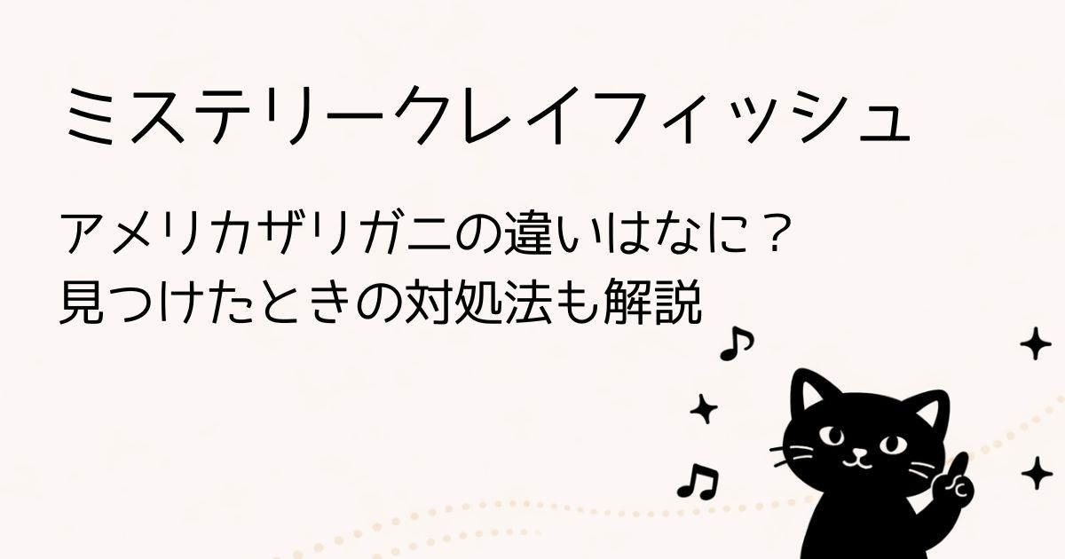 ミステリークレイフィッシュとアメリカザリガニとの違い